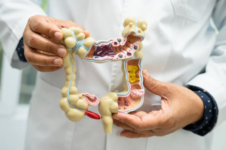Total Gut Reset: How Colon Detox and Digestive Enzymes Work Together for Optimal Digestion