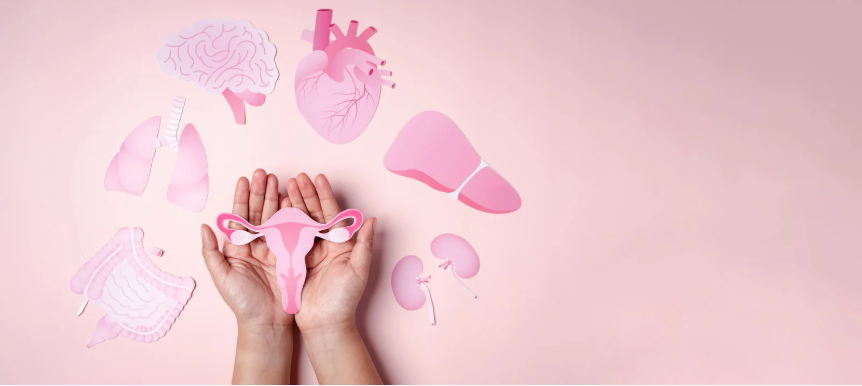 Women’s Wellness: Essential Supplements for Every Stage of Life