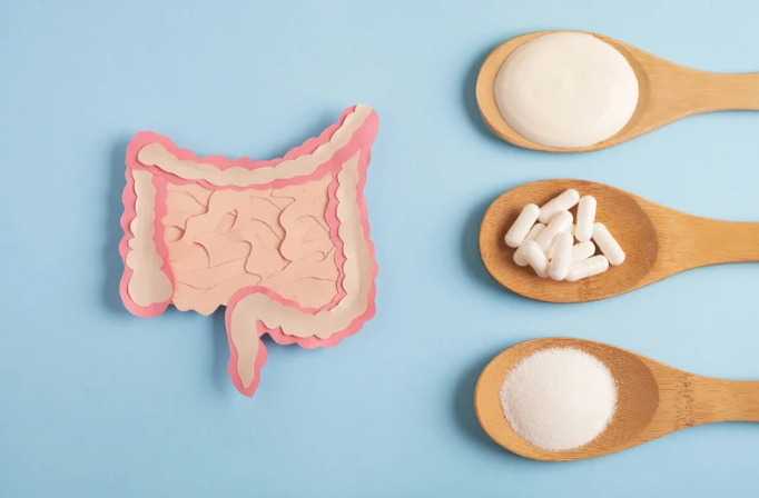 Is Gut Health the Secret to Better Energy and Immunity? A Deep Dive Into Probiotics & Prebiotics