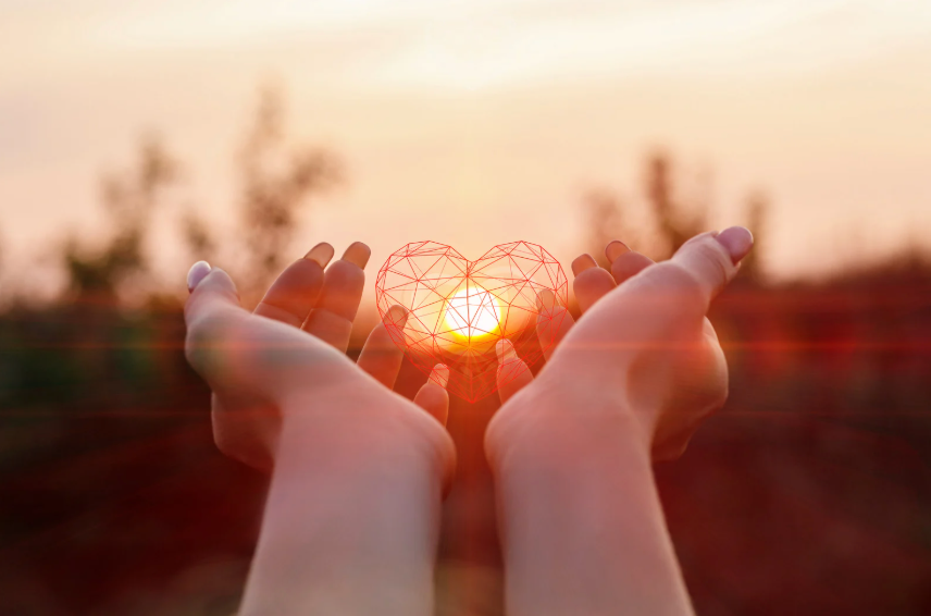 Top Supplements to Naturally Support Healthy Blood Pressure and Heart Function