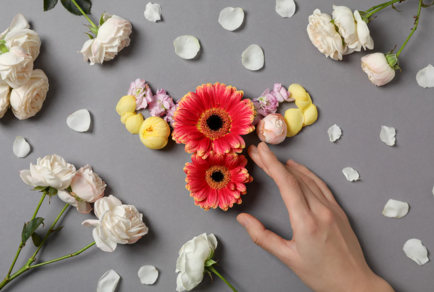 Hormone Harmony: Boosting Vitality with Ashwagandha and Maca Plus