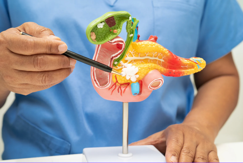 Digestive Enzymes Explained: The Key to Better Digestion